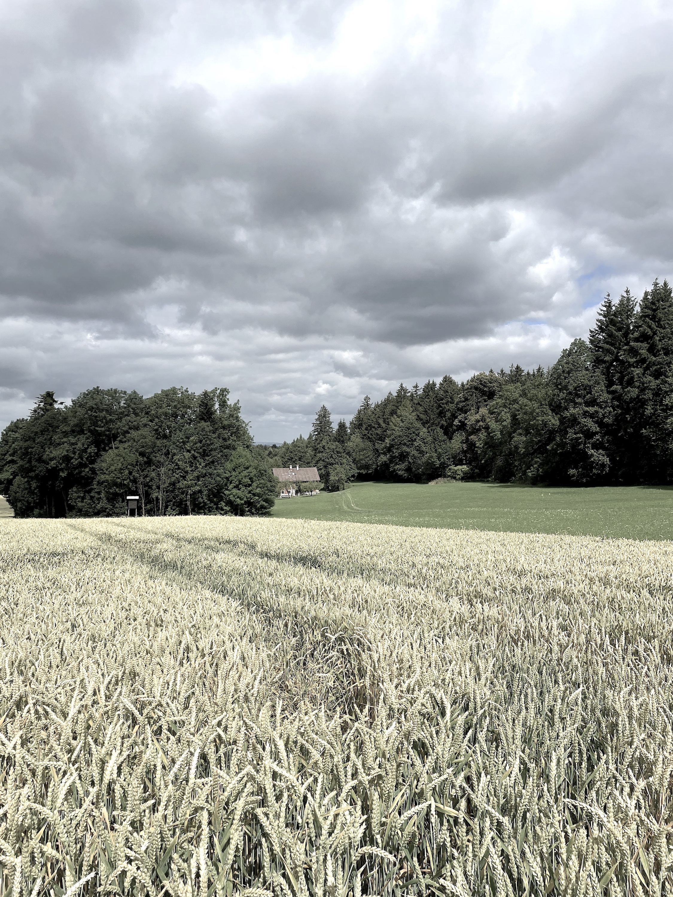 Bauernhaus, Oberösterreich, adaptive resuse